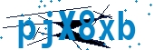 recaptcha
