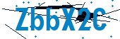 recaptcha