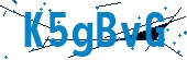 recaptcha